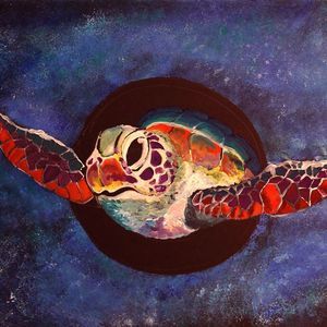 Meet your Posher, Lynnette